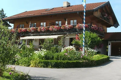 Schwalbennest im Ferienhaus Alt