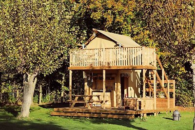 Glamping di lusso nell'Horsterwold