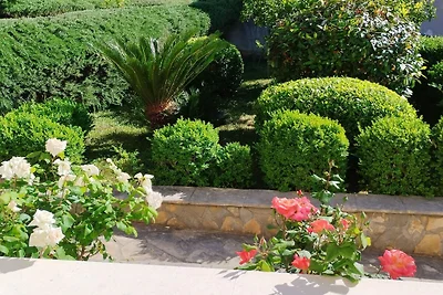 One-Bedroom Apartment With Terrace (A2)