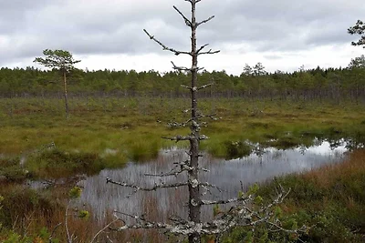 6 Personen vakantie huis in Osen