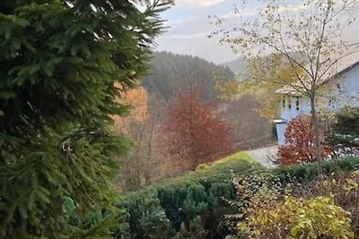 Vakantiehuis nabij Willingen met terras