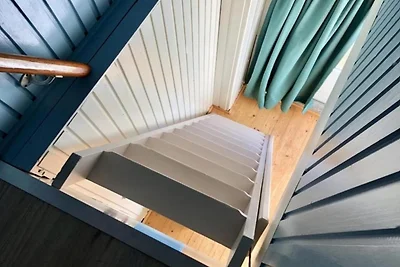 Haustierfreundlicher Kurzurlaub in Zeeland