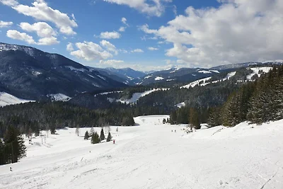 Wohnung in Filzmoos bei Ski Amadé
