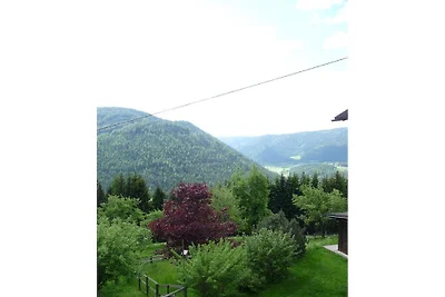 Ferienhaus in Gnesau mit Schwimmbecken