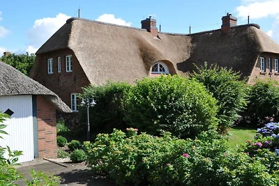 Ferienhaus in Föhr mit 3 Schlafzimmer
