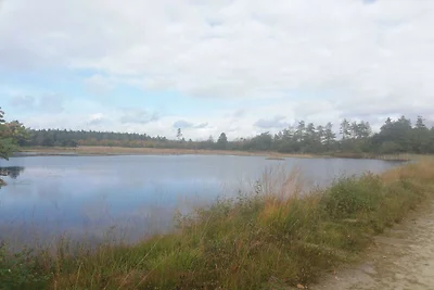 8 Personen Ferienhaus in Skjern-By Traum