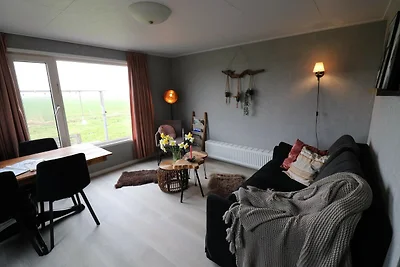 Ferienhäuser in Friesland mit Bauernhof