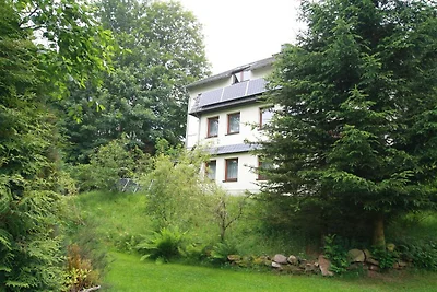 Schöne Ferienwohnung mit Terrasse, Altenberg