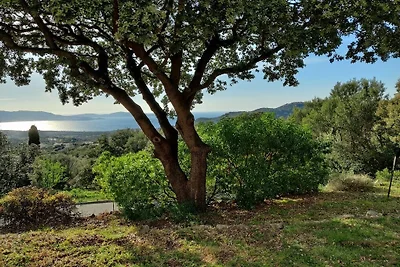 Vakantieappartement in Lumio met zwembad