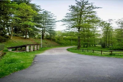 In der Region (Sommer) (>5 km) In der Region (Sommer) (>5 km)