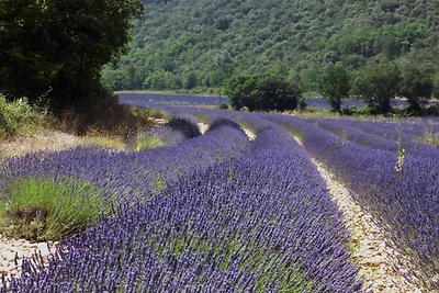 Nice holiday home near the Gorges du Verdon