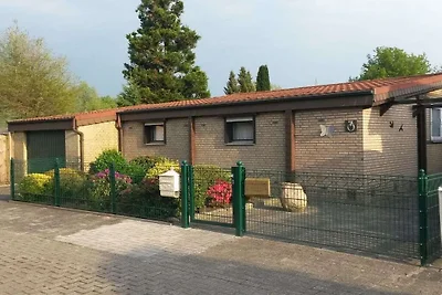 Am Ginsterbusch