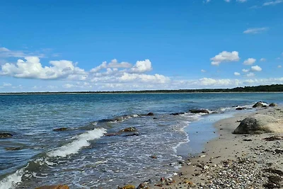 6 Personen Ferienhaus in Asnæs-By Traum