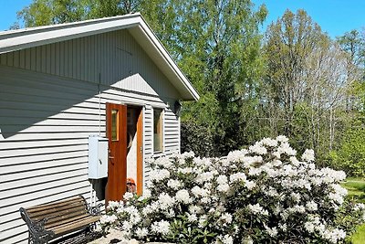 4 Personen Ferienhaus in Backaryd