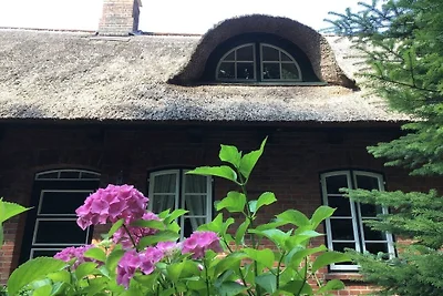 Ferienwohnung mit 2 Schlafzimmer