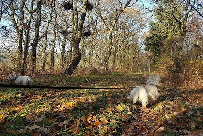 8 Personen Ferienhaus in Toftlund-By Traum