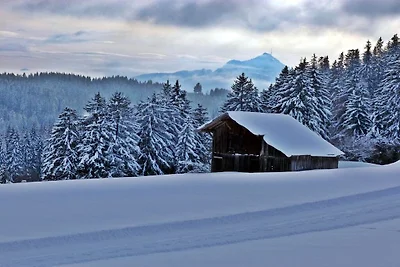 Appartement de vacances Alpenstern Finy (M)