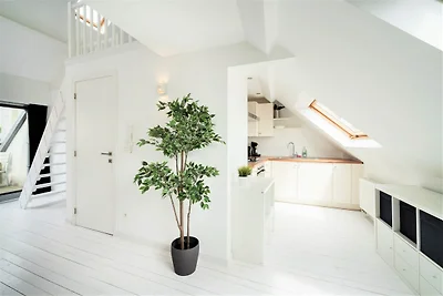 Stilvolle Terrassenwohnung in Antwerpen