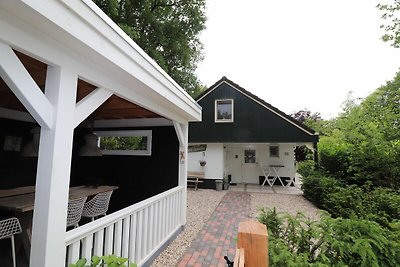 Ferienhaus in Overijssel mit Garten