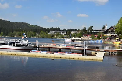 Casa vacanze Vacanza di relax Titisee-Neustadt