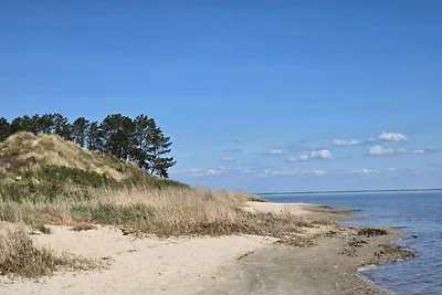 8 Personen Ferienhaus in Rømø