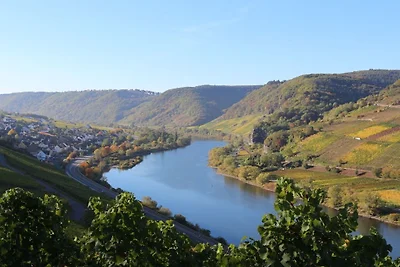 Edelberg-Gipfel || Enkirch\/Mosel