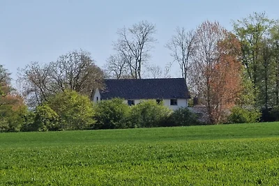 Ferienwohnung mit 1 Schlafzimmer