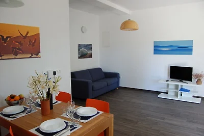 Apartment in Veli Rat mit Dachterrasse