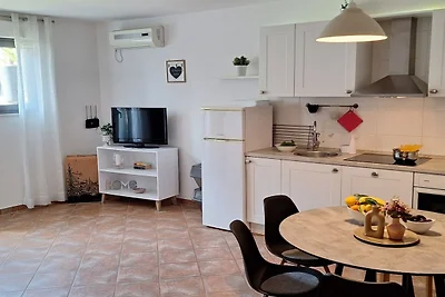 Two Bedroom apartment with Terrace (Cvita)