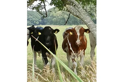 Ferienhaus in Jade mit Schwimmbecken
