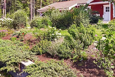 6 persoons vakantie huis in VäTö