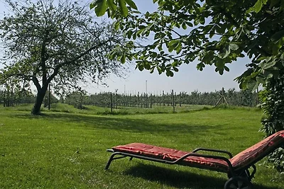 Ferienhaus mit 1 Schlafzimmer