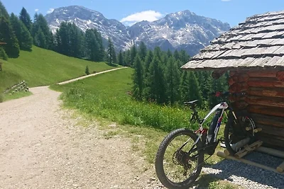 Liondes Chalet Moltina