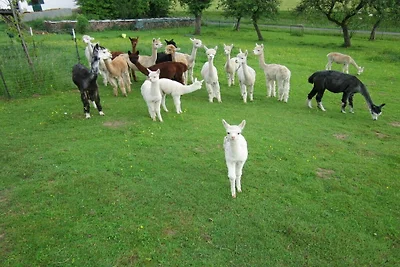 Vakantiehuis in Windeck met zwembad