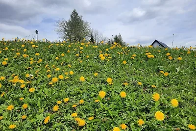 Dachgeflüster am Kirchberg