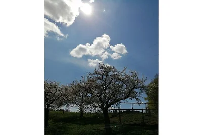 Ferienhof Sommer