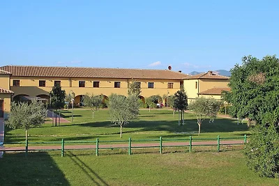Studio mit Balkon in Piombino