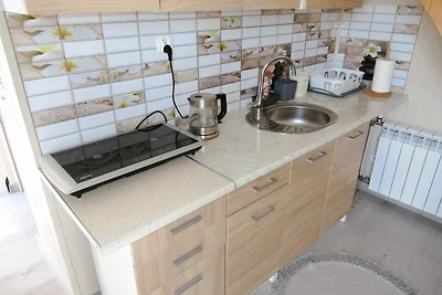 Neues Ferienhaus für 5 Personen in Wisełka