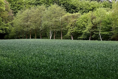 Luxus-Poolvilla in Lohals -- By Traum...