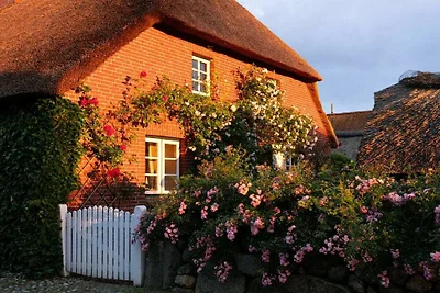 Ferienhaus in Midlum mit Schwimmbecken