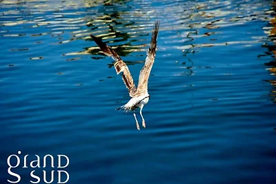 Apartments für 4 Personen