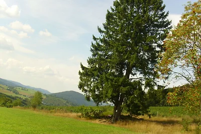 Appartamento a Schmallenberg con giardino...