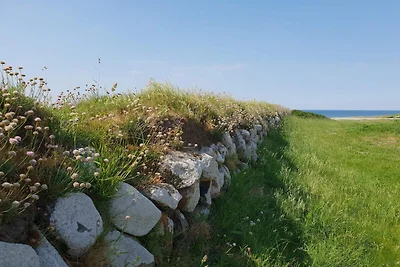 Rustig huisje toevluchtsoord in Lokken-By...
