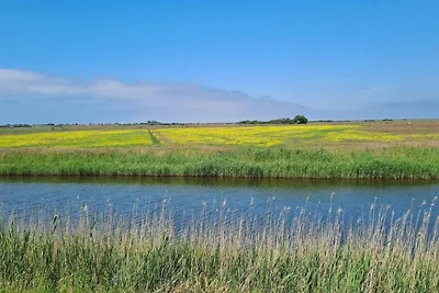 Maison de vacances pour 6 a Ribe-By Traum