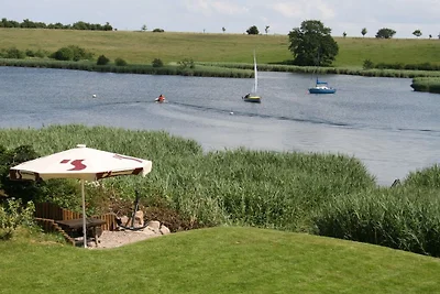 Waterküken am Bootssteg