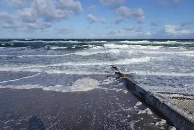 10 Personen Ferienhaus in Græsted-By Traum