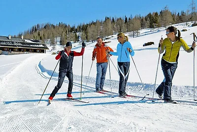 Appartamento a Hüttau vicino a Ski Amadé