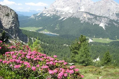 Appartamento per vacanze con 2 camere da...