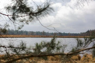 Bungalow in Wolfsven am Naturgebiet