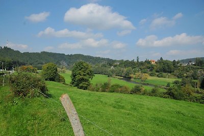 Gemütliches Ferienhaus mit Ofen in grüner...